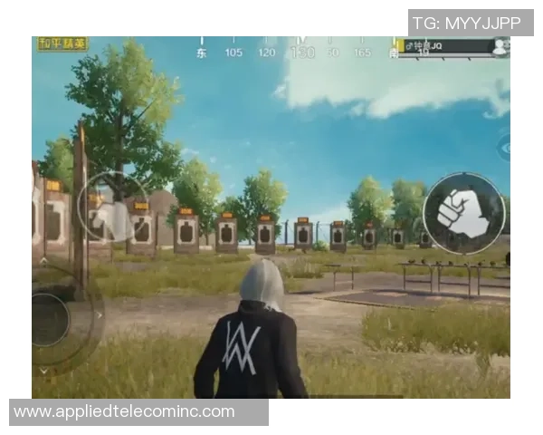 2026和平精英耐力排名：BLG创新高